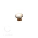 글로벌제이 이미지