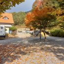 계곡캠핑펜션 | 영월캠핑장 [영월가자펜션&amp;캠핑장] 영월 법흥계곡 자연 캠핑 힐링 후기