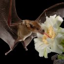 my drink museum 이미지