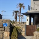 해움펜션 | 제주도동쪽펜션 추천, 구좌읍 감성 풀빌라 ‘스테이해비움’ 해동 투숙 후기