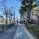 동물에반하다동물병원 이미지