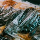 여울목 아쿠아 이미지