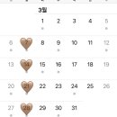 주니스수아