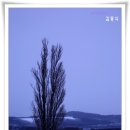 더그루민박