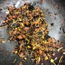 장현펜션 이미지