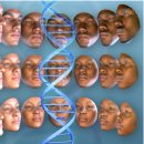 [BRIC 뉴스레터] DNA를 이용하여 인간의 얼굴을 예측할 수 있을까? 이미지
