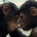 Kingdom of The Planet of The Apes 2024 이미지