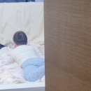 거보식당 이미지