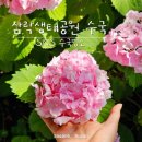 창대카서비스 이미지