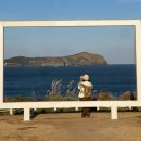 영어조합법인 일출봉 | [해일리카페제주] 성산일출봉 카페 추천