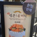 일별담 | [대전] 성심당 메론1통 케이크 주말 오픈런 후기