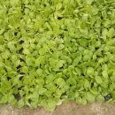 불암농장 이미지