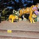 선달산민박 이미지