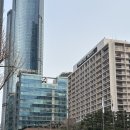 파라다이스 부티크 | 파라다이스호텔 부산 부티크 베이커리 블랙포레스트 케이크 예약 후기