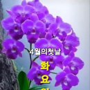 슬기로운대학생활