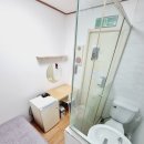 장안벚꽃길 이미지