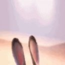 띵호 이미지
