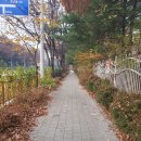 호수공원과 정발산 (89m)한바퀴. 2024년11월 21일(木) 4,236회 산행. 이미지