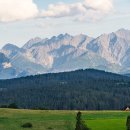 자연-이미지 이미지