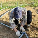 김영석농장 이미지