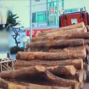 참숯구이 이미지