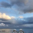 노원메디칼약국 이미지