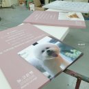 늘, 고운펫 이미지