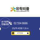 JM Farm | 꼭 고려해봐야 할 미국보딩스쿨 추천 방문 후기