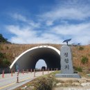 지리산정자나무펜션 이미지