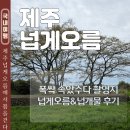 서광2교차로 4 | 4월 제주도 가볼만한곳 폭싹 속았수다 촬영지 넙게오름 강아지 동반