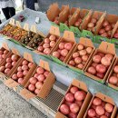 퇴촌한의원 이미지