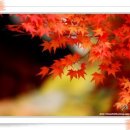 너럭바위 민박 이미지