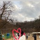 숲속애견랜드 이미지