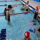 지씨아이 이노스베이수영장 이미지