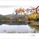 설봉공원 Daum카페