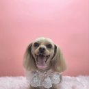 아임그루머 이미지