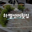 자연산선어 | [여수/맛집] 하멜선어횟집 / 여수 로컬 맛집, 자연산 선어회 끝판왕! 내돈내산 솔직후기~🐟