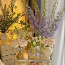 플라워 테라피 이미지