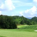 포라이즌 이미지