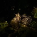 남해-224 이미지