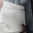 아이엠게코