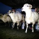 (주)테마세이