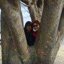 어느봄날 이미지