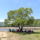 선기로2-7 이미지