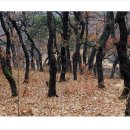 상수리공원 이미지