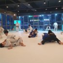 JOB주짓수클럽 이미지