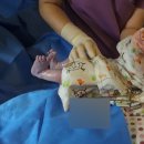 삼성미즈산부인과의원 | [출산기록] 천안아산 삼성미즈산부인과 자연분만 후기