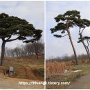보령 요산군 이기사당 티스토리