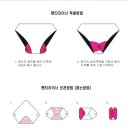 세젤펫 이미지