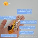 허벌라이프 점핑 창업 20대 직장인도전 4년차 사업 후기
